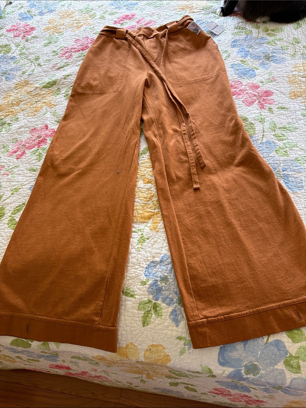 Free People Burnt Orange Wide Leg Flare Pants